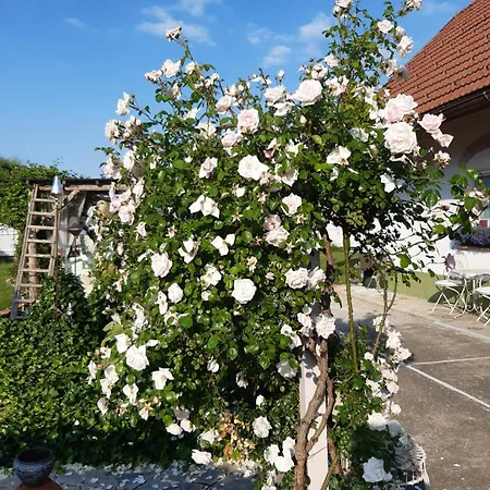 Wohnen & Schlafen Im Wundschuh
