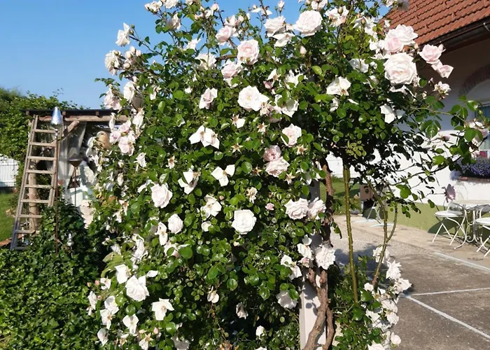 Wohnen & Schlafen Im Wundschuh